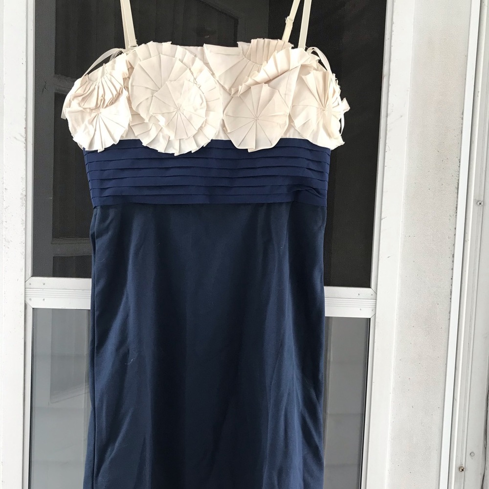 BCBG Color block dress w/ flower appliqué